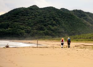 Two people wearing traditional conical hats and rucksacks walk along a sandy beach with dense green hills in the background under a cloudy sky, capturing the serene beauty you’ll find when you travel to Shikoku.