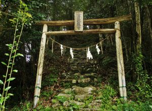 A weathered stone path leads uphill through a forest, framed by a traditional wooden torii gate adorned with paper streamers and a sign—an inviting glimpse into the spiritual sites you’ll encounter when you travel to Shikoku, Japan.