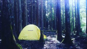 A bright yellow tent is set up among tall, dense trees in a sunlit forest. Sun rays filter through the trees, casting dappled light on the forest floor and the tent. The scene is calm and serene.
