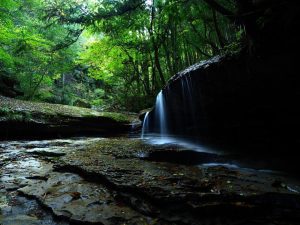 A waterfall from a tour of Shikoku