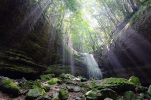 A waterfall from a tour of Shikoku