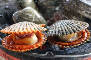 Clams on the Shimanami Kaido