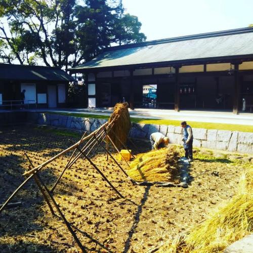hiddenjapantravel BnMU8ufBbjZ